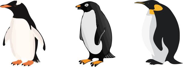 penguin icon on white background - Vektor, Bild
