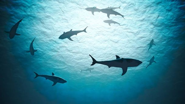 Silhouettes de requins sous l'eau dans l'océan contre la lumière vive
.  - Photo, image