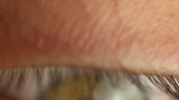 knipperende mannelijk oog close-up rondkijken. rode slagader op de oogbol macro. pupil reactie op licht. Mioz en Midriaz. sluiten en openen van het ooglid - Video