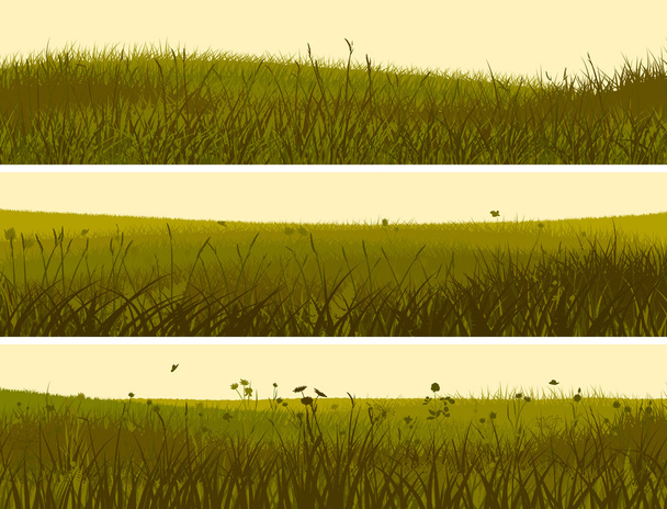 抽象的な牧草地の草のバナー. - ベクター画像