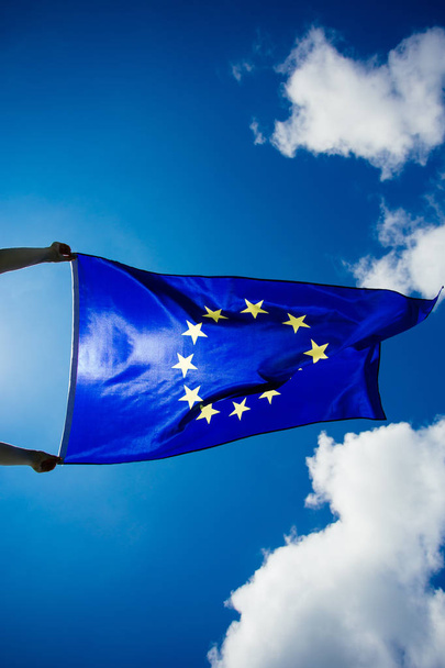 European Union Flag - Foto, imagen