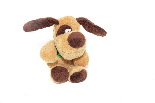 Morbido cane giocattolo isolato su sfondo bianco
 - Foto, immagini