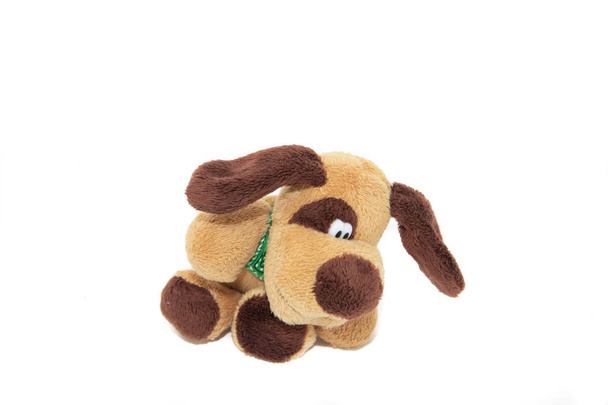 Jemný pes hraček izolovaný na bílém pozadí - Fotografie, Obrázek