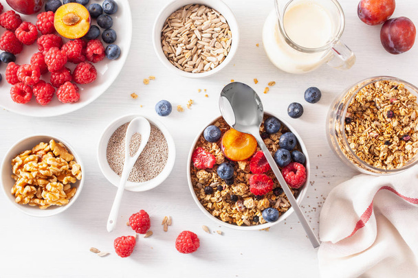 berry meyve somun, kahvaltı için sağlıklı granola vegan süt - Fotoğraf, Görsel