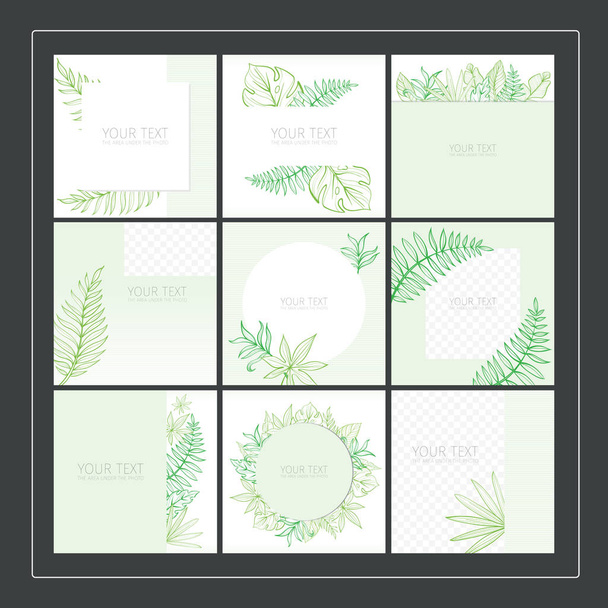 Design for social media. Template for instagram posts. Tropical backgrounds for social networks. Hand-drawn Vector - Vector, Image