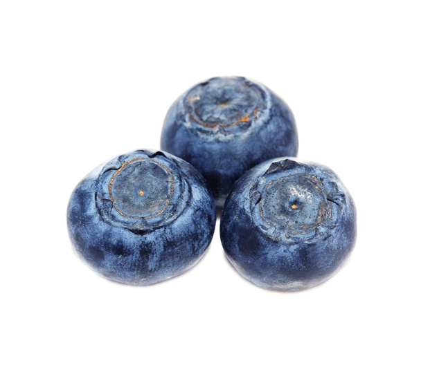 Blueberries, blueberry - 写真・画像