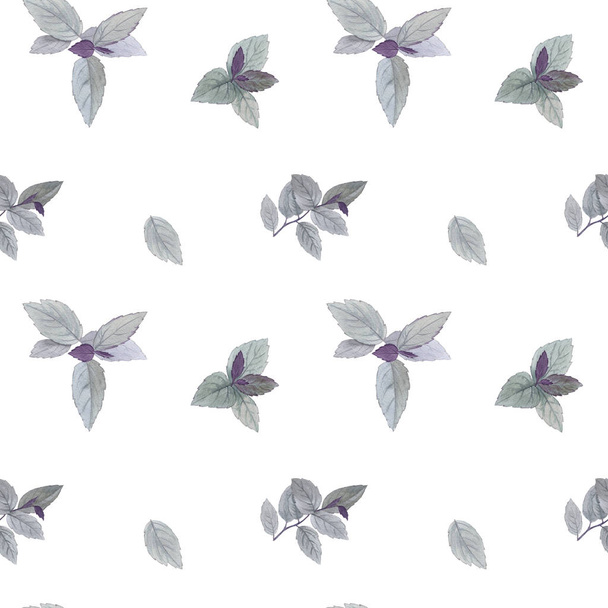 Seamless watercolor pattern. A set of leaves. Watercolor painted leaves. Design element. Elegant leaves for art design. Hand painted leaves on white background. - Valokuva, kuva