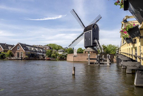 Molen de Put, Holandia Południowa punkt orientacyjny, wiatrak Rembrandta b - Zdjęcie, obraz