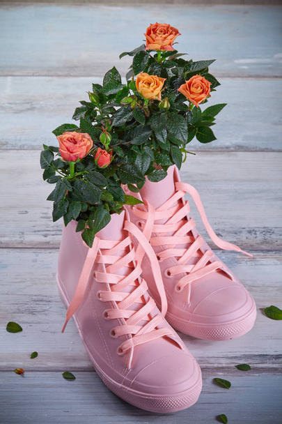 Coral-colored roses with water droplets on the leaves in pink rubber sneakers on a wooden background - Фото, изображение