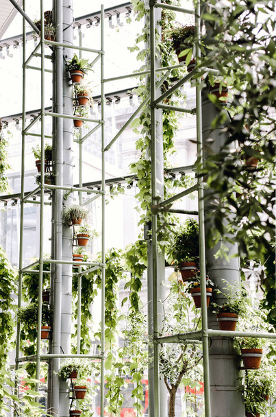 Plants on display in a vertical tower inside food hall, Borough Market in Southwark, London - Photo, Image
