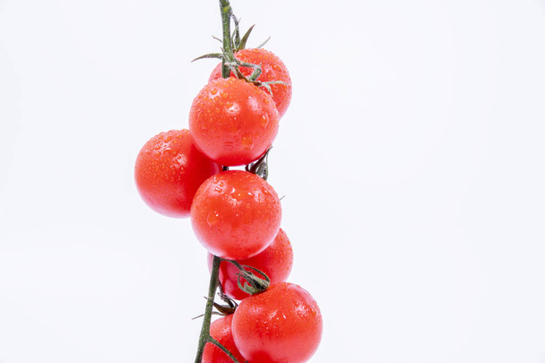 Pomodori ciliegia rosso primo piano sfondo bianco. Pomodori rossi freschi maturi da vicino su sfondo bianco
 - Foto, immagini