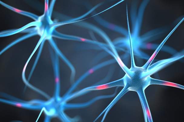 Neuronen im Gehirn - Foto, Bild