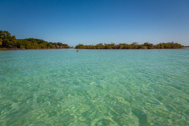 Zeven kleurige lagune in Bacalar - Foto, afbeelding
