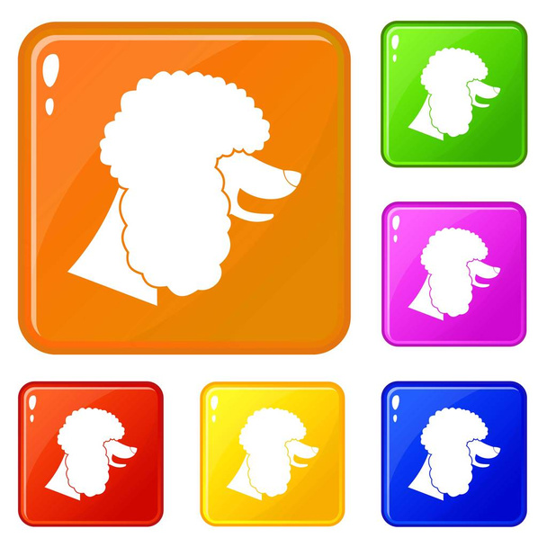 Poodle dog icons set vector color - Vettoriali, immagini