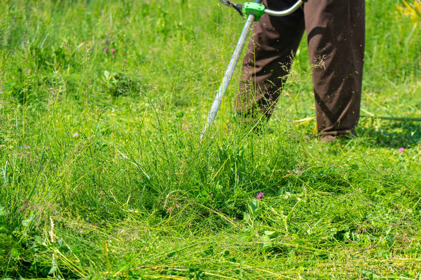 Il giardiniere che taglia l'erba dal tosaerba, cura del prato
 - Foto, immagini