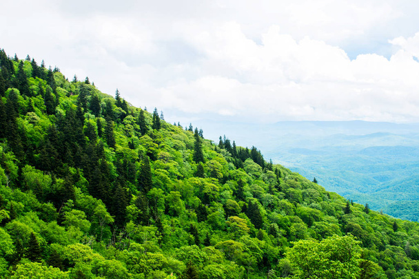 malerische grüne Hügel und Berge mit langer Aussicht, appalachische Bergkette - Foto, Bild