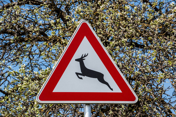 Señal de tráfico para sendero de caza donde los animales salvajes cruzan la carretera
 - Foto, imagen