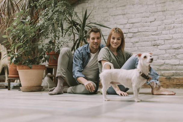 素朴なリビングルームの床に座って、かわいい白い犬と遊ぶ素敵な若いカップル - 写真・画像