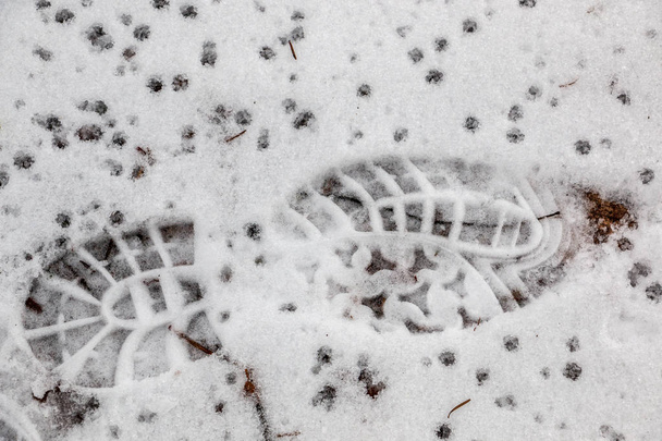 Empreinte d'une chaussure humaine sur la neige blanche
 - Photo, image