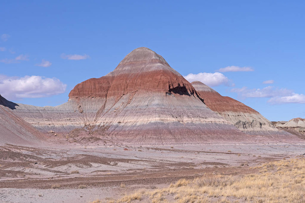 Sedimentaire Buttes in de geschilderde woestijn - Foto, afbeelding