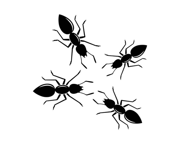 μυρμήγκι λογότυπο εικονίδιο διανυσματική απεικόνιση σχέδιο - Διάνυσμα, εικόνα