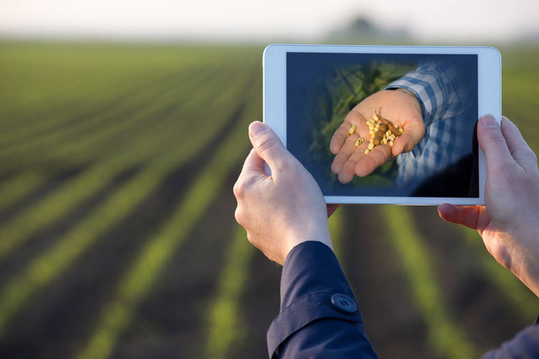 畑の前でタブレットを持つ農家 - 写真・画像