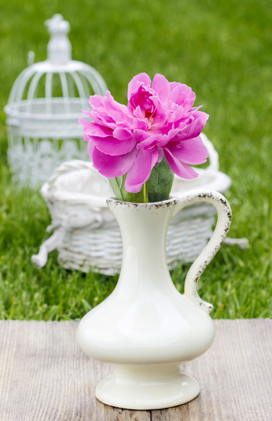 Single pink peony flower in white ceramic vase on fresh green - Foto, Imagen