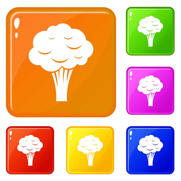 Broccoli icons set vector color - Vektor, kép