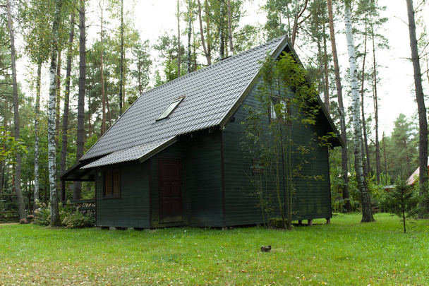 green wood cabin in the middle of forest - Photo, Image