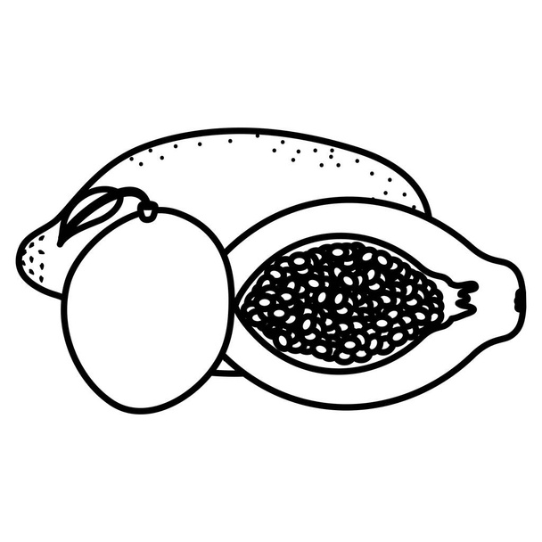 φρέσκα φρούτα παπάγια και μάνγκο - Διάνυσμα, εικόνα