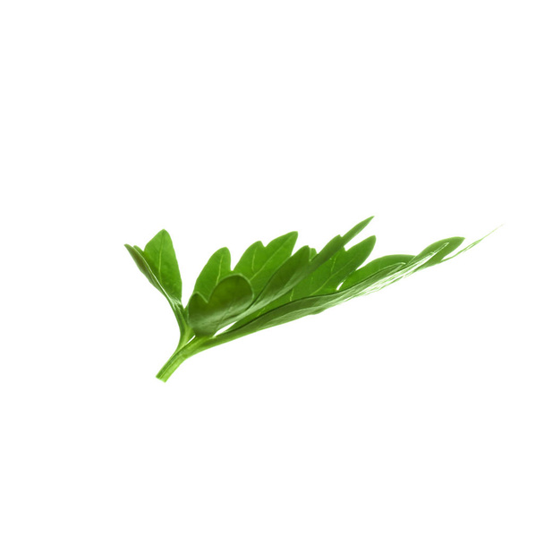Fresh green organic parsley on white background - Φωτογραφία, εικόνα
