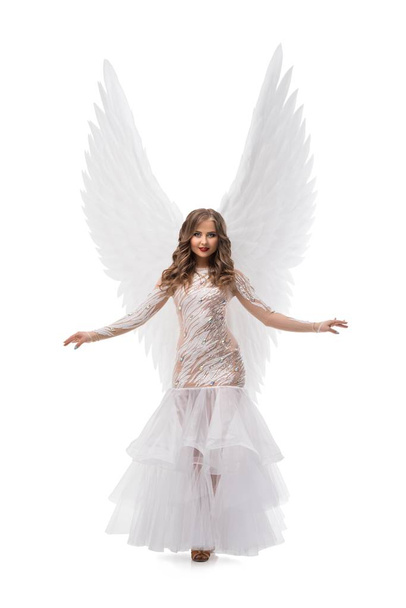Brunette in gorgeous dress and wings view - Φωτογραφία, εικόνα