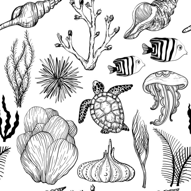 Seamless pattern with marine hand drawn corals and marine life. Black and white - Вектор,изображение