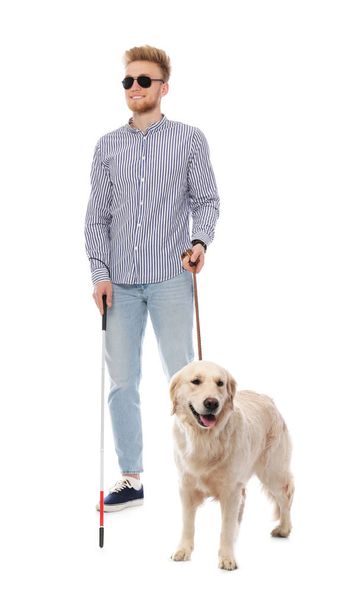 Blind person with long cane and guide dog on white background - Foto, Bild