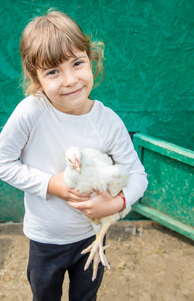 Bio chickens on a home farm a children. - Φωτογραφία, εικόνα