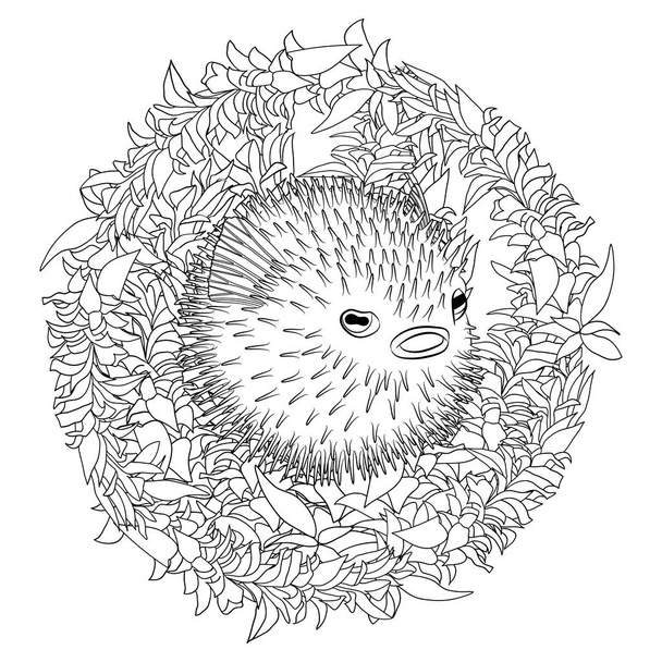 Coloring page with puffer fish in patterned style. - Vector, Image