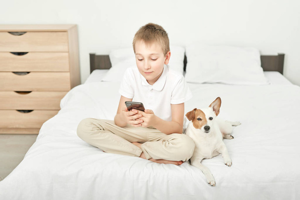 chico con un gato perro russell jugando en un teléfono inteligente en una cama blanca en casa
 - Foto, imagen