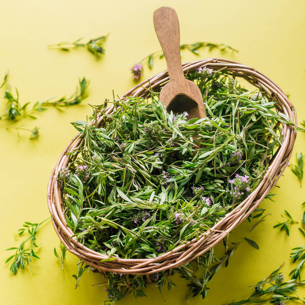 Harvesting herbs, fresh thyme on a yellow background - Photo, Image