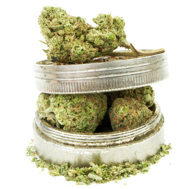 Composition conceptuelle de la marijuana isolée sur fond blanc
. - Photo, image