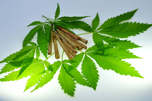 Cannabis leaves and herbal cigarettes on a white background - Photo, image