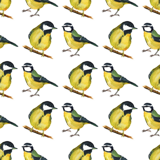 Seamless pattern with tomtits - Foto, afbeelding