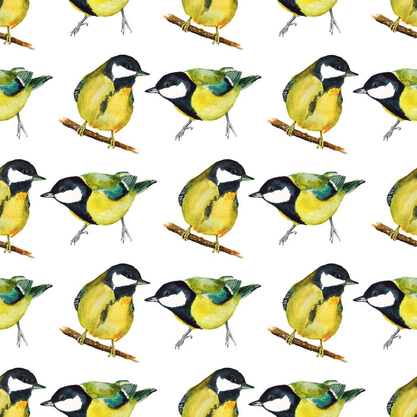Seamless pattern with tomtits - Foto, imagen