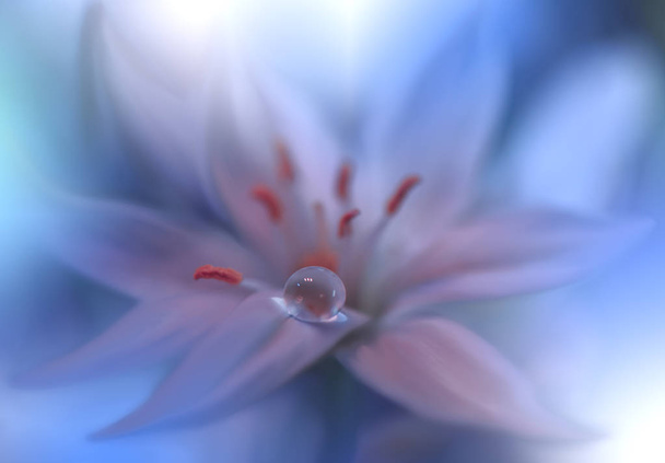 Beautiful Nature Background.Macro Shot of Amazing Spring Magic Flowers.Border Art Design.Magic light.Extreme close up Photography.Conceptual Abstract Image.Fantasy Floral Art.Creative Artistic Wallpaper.Web Banner.Water Drop.Colorful,colors,blue. - Zdjęcie, obraz