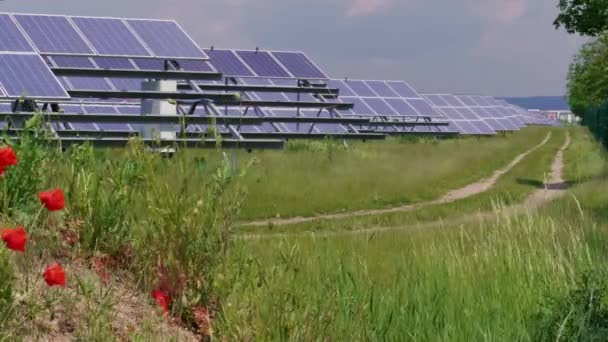 Cell solar panels green energy, poppy flowers, grass near rut road at windy day. Eco power from photovoltaic modules generating electricity, plants, cart way. Alternative electricity source on plant field. Solar cell for renewable energy at foliage - Footage, Video