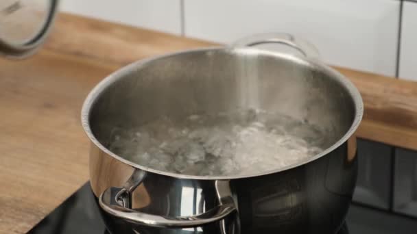 hand van vrouw het toevoegen van een zout aan kokend water in pot op inductie kookplaat - Video