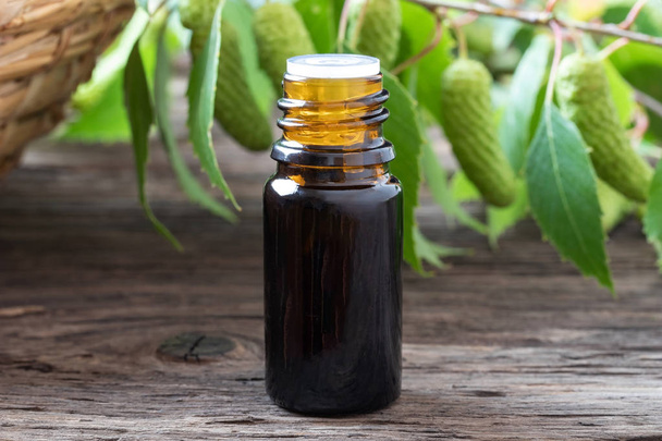 Una botella de aceite esencial con ramas de abedul
 - Foto, imagen