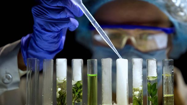 Biochimico aggiunta di agente chimico che emette fumo in tubo con pianta verde, laboratorio
 - Foto, immagini