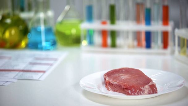 Meat sample lying on plate in scientist laboratory, antibiotic testing, quality - Foto, Imagem