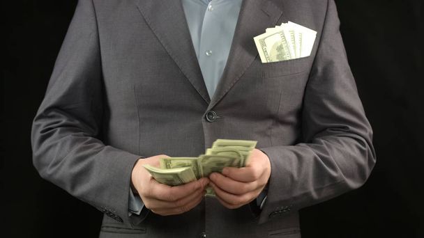 Businessman counting dollars, success strategy, money and career, finance - 写真・画像