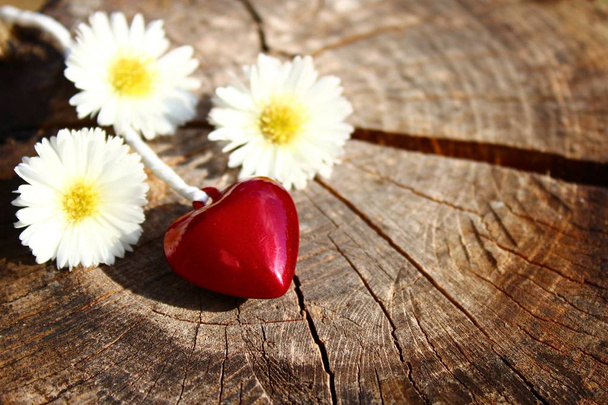 μια κόκκινη καρδιά και λουλούδια σε ξύλινο έδαφος - Φωτογραφία, εικόνα